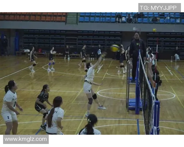 北京排球队的默契配合与战术探讨聚焦排球运动的团队精神与协作技巧