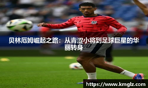 JN体育官网